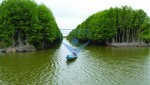 /assets/news/2016_10/nam-can.jpg