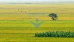 /assets/news/2016_10/thoi-tiet-cua-nha-nong.jpg