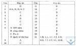 Bài tập trắc nghiệm Lịch sử 8, bài số 7: Phong trào công nhân quốc tế cuối thế kỉ XIX đầu thế kỉ XX