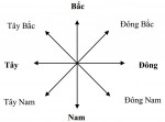 Trả lời câu hỏi Địa lí 6, bài 4: Phương hướng trên bản đồ. Kinh độ, vĩ độ và tọa độ địa lí