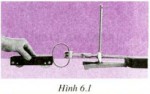 /assets/news/2019_01/hinh-6.1.jpg