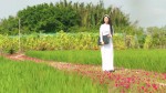 /assets/news/2019_09/canh-thanh-binh-cua-mien-que.jpg