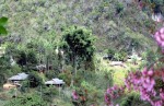 /assets/news/2019_10/que-huong-vung-cao-cua-em.jpg