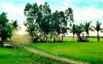 /assets/news/2019_10/ta-canh-lang-que-vao-buoi-sang.jpg
