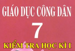 /assets/news/2019_11/kiem-tra-hoc-ki-1-cong-dan.jpg