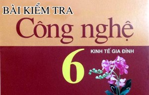 Đề thi tham khảo học kì 1, Công nghệ 6