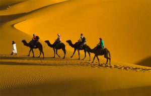/assets/news/2020_01/bai-ca-ngan-di-tren-bai-cat.jpg