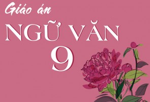 /assets/news/2020_01/giao-an-ngu-van-9.jpg