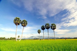 /assets/news/2020_02/que-huong-an-giang.jpg