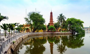 /assets/news/2020_03/gio-dua-canh-truc-la-da.jpg