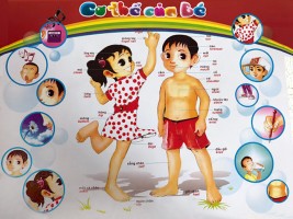 Giáo án mầm non: Kế hoạch chủ đề: Bản thân, Chủ đề nhánh: Cơ thể bé yêu