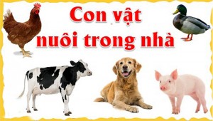 Giáo án mầm non: Kế hoạch chủ đề: Thế giới động vật. Chủ đề nhánh: Con vật nuôi trong gia đình. Ngày: Thứ sáu