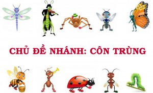 CHU DE NHANH CON TRUNG