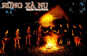 /assets/news/2020_06/rung-xa-nu.jpg