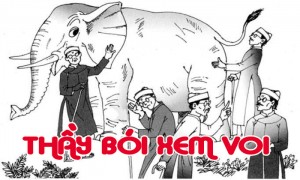 /assets/news/2020_07/thay-boi-xem-voi.jpg