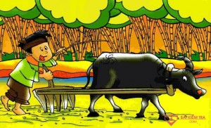 Kế hoạch giáo dục chủ đề: Ngành nghề. Chủ đề nhánh: Bác nông dân làm gì hả mẹ
