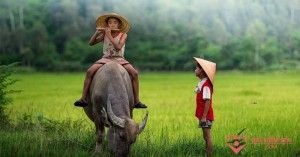 /assets/news/2020_10/ta-canh-dan-trau-ve.jpg