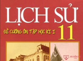 Đề cương ôn tập thi giữa học kì 1, Lịch Sử 11