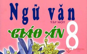 /assets/news/2020_11/giao-an-ngu-van-8.jpg