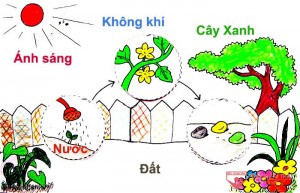 /assets/news/2020_12/dat-nuoc-khong-khi-anh-sang.jpg