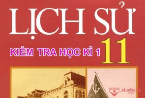 Đề cương ôn tập thi học kì 1, môn Lịch Sử 11