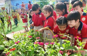 Chủ đề nhánh: Cây xanh quanh bé, ngày thứ sáu