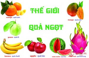 Chủ đề nhánh: Thế giới quả ngọt, ngày thứ sáu
