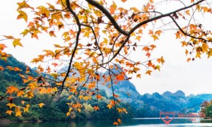 Bài văn mẫu phân tích bài thơ ‘Sang Thu’ của Hữu Thỉnh