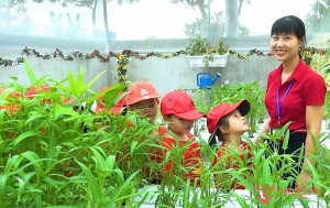 Chủ đề nhánh: Vườn rau ba trồng, ngày thứ sáu