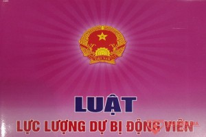 Khái niệm, vị trí, vai trò, những quan điểm nguyên tắc xây dựng lực lượng dự bị động viên