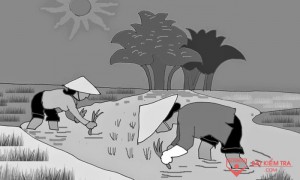 /assets/news/2021_10/nguoi-ta-di-cay-lay-cong.jpg