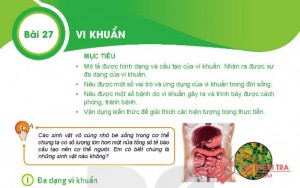 Giải bài tập Khoa học tự nhiên 6, Bài 27. Vi Khuẩn