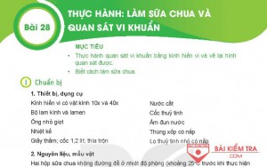 Giải bài tập Khoa học tự nhiên 6, Bài 28. Thực hành làm sữa chua và quan sát vi khuẩn