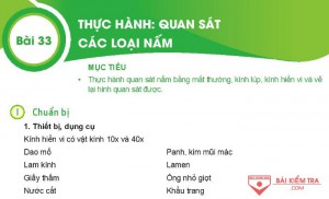 Giải bài tập Khoa học tự nhiên 6, Bài 33. Thực hành quan sát các loại nấm.