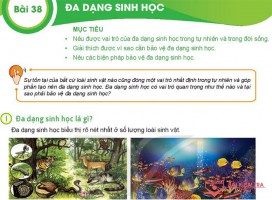 Giải bài tập Khoa học tự nhiên 6, Bài 38. Đa dạng sinh học