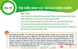 Bài 39  Tìm hiểu sinh vật ngoài thiên nhiên