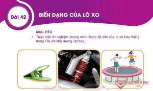 /assets/news/2022_03/bai-42-bien-dang-cua-lo-xo.jpg