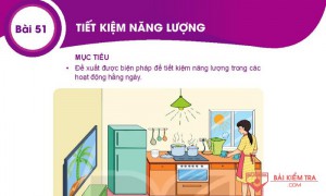 Giải bài tập Khoa học tự nhiên 6, Bài 51. Tiết kiệm năng lượng.