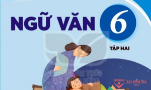 /assets/news/2022_03/ngu-van-6.jpg