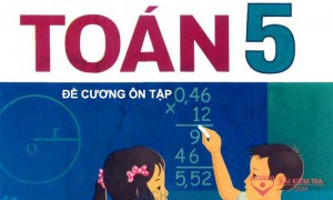 Đề cương ôn tập cuối kì 2, Môn: Toán 5