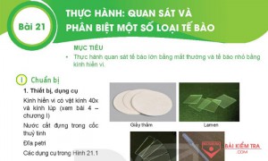 Giải bài tập Khoa học tự nhiên 6, Bài 21: THỰC HÀNH: QUAN SÁT, PHÂN BIỆT MỘT SỐ LOẠI TẾ BÀO CƠ THỂ SINH VẬT