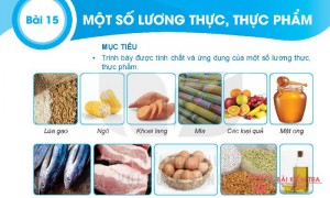 Giải bài tập Khoa học tự nhiên 6, BÀI 15: MỘT SỐ LƯƠNG THỰC, THỰC PHẨM