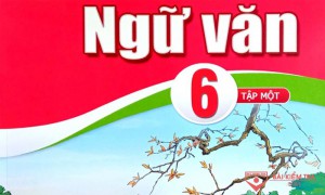 Đề kiểm tra giữa kỳ 1, môn Ngữ Văn 6 sách Cánh Diều