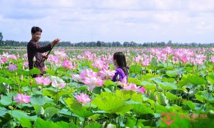 /assets/news/2022_11/quoc-hoa-viet-nam.jpg