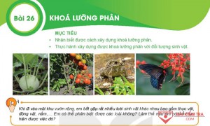 Giải bài tập Khoa học tự nhiên 6, Bài 26: KHÓA LƯỠNG PHÂN