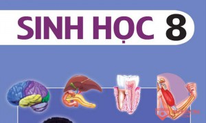 /assets/news/2022_12/sinh-hoc-8.jpg