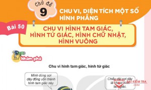 Giải Toán 3 Kết nối tri thức, Bài 50: Chu vi hình tam giác, hình tứ giác, hình chữ nhật, hình vuông