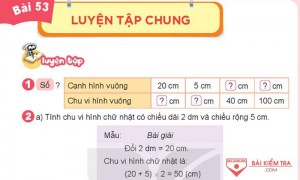 Giải Toán 3 Kết nối tri thức, Bài 53: Luyện tập chung