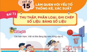 /assets/news/2023_04/bai-73-thu-thap-phan-loai-so-lieu.jpg
