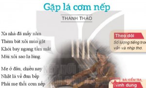 /assets/news/2023_09/gap-la-com-nep.jpg